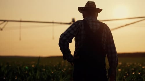 Farmer in Agricultural Field Backlit Silhouette in Farmland Agronomist Walking Agribusiness and