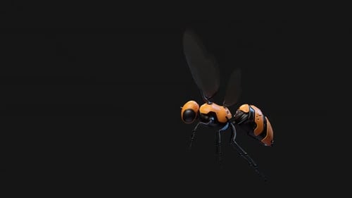 Futuristic Robotic Insect Flying Seamlessly Looping Animation