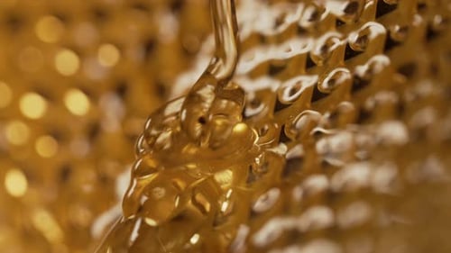 Honey Dripping From Honeycombs Extreme macroNatural Bees Wax Cells Gold Nectar