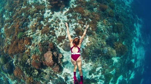 Woman Freediver Swims Underwater Along the Vivid Coral Reef in the Komodo National Park in Indonesia
