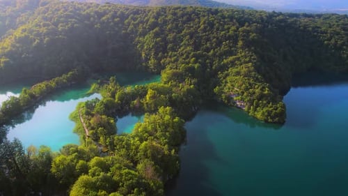 Coniferous forest with deep blue lake in mountains. Dense wood landscape in summer to early autumn s