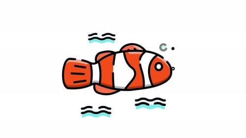 Clownfisch