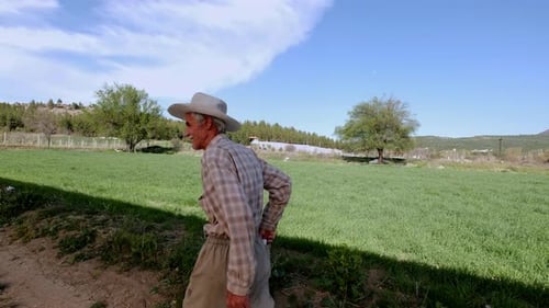 Old Man Walks In The Agricultural Field