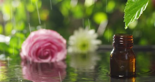 blend of essential oils with water drops, scents and aromas in aromatherapy for wellness and spa.
r