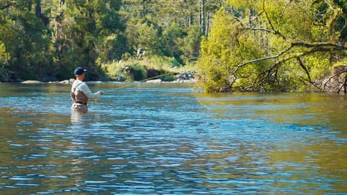 Man Fly Fishing in the Pristine River in Brazil
