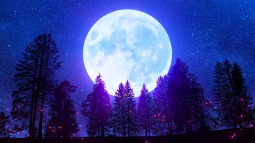 Big Full Moon Over Beautiful Forest Loop