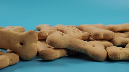 Dog biscuits on a white background.