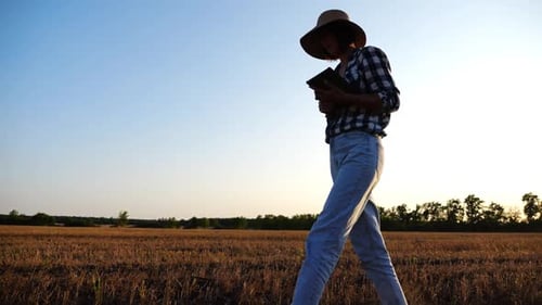 Female Agronomist Using Digital Tablet While Goes Among Wheat Meadow at Sunset Farmer Monitoring