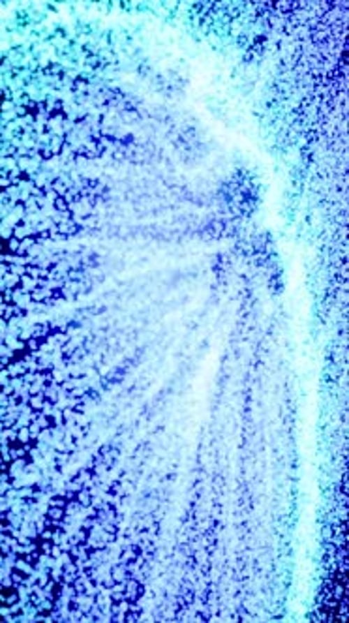 Abstract Lighting Dust Particle and Glare on a Dark Background