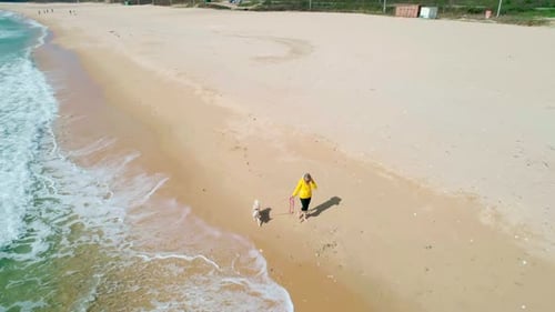 Aerial View of a Young Woman in Yellow Jacket Walking on Beach with Her Dog