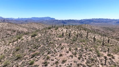 Aerial view of desert landscape with cacti and mountains, United States.