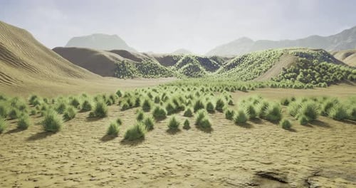 Vast Desert Landscape with Tufts of Grass and Distant Mountains Under Clear Sky