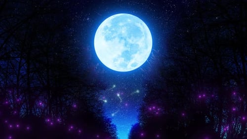 Beautiful Moon Over Sea Through Forest