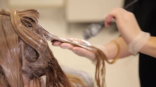 Stylist Applying Dark Brown Hair Dye in Salon