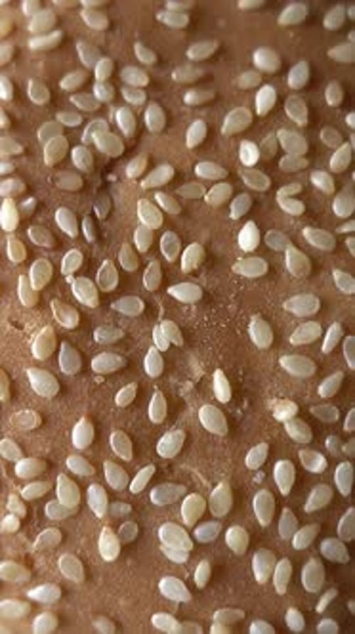 Macro Shot of Sesame Seed Bun
