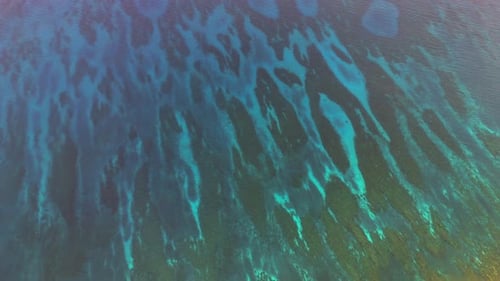 Nature pattern on the sea.