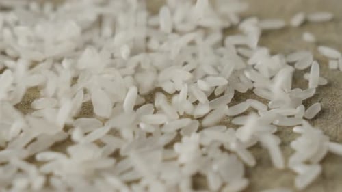 Tiny grains of moonlight gently scatter each one constellation of plenty