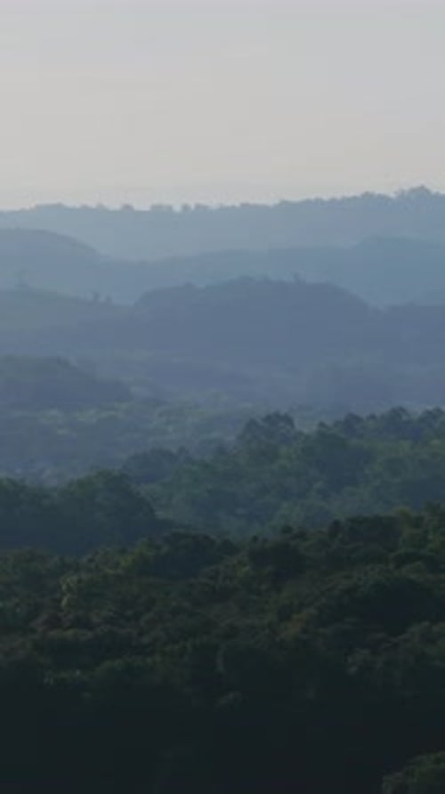 Selva brasileña Colinas Atlánticas Selva brasilera Selva brasilera