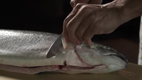 Hands Cutting Raw Salmon with Knife