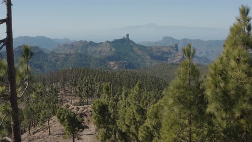 Belle prise de vue par Drone d'un panorama montagneux avec une forêt allant du pic de las Nieves à Roque Nublo, Gran