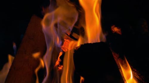 Cam Fire
