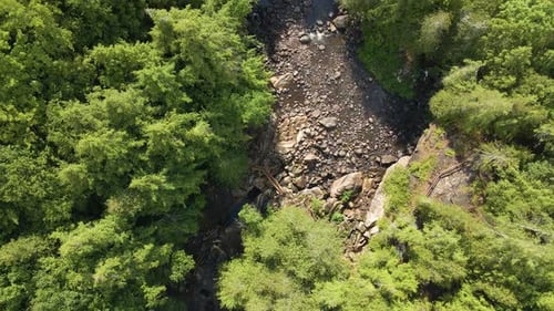 Aerial/Drone Rise over Rocky Forest Creek on Summer Day