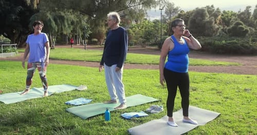 Senior Yoga Group in City Park