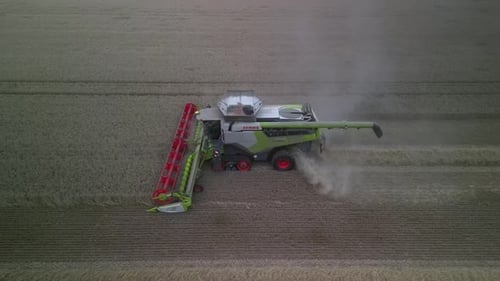 Combine on the field harvesting wheat