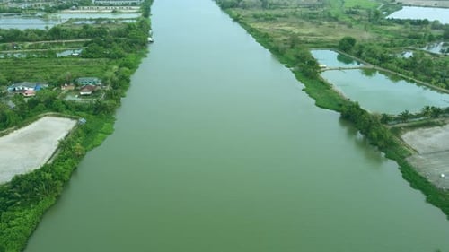 Die fliegende Umgebung bepflanzt das Grün, den Wald und das Flussufer. Über der Landschaft und dem wilden Wald