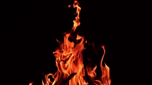 Wooden sticks burning in a big campfire. Long flame tongues stretching high in the air.