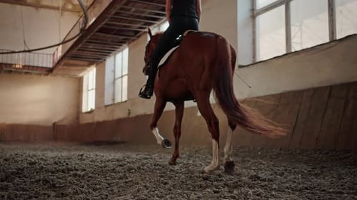 Woman Rides Brown Horse Running Along Indoor Sports Manege