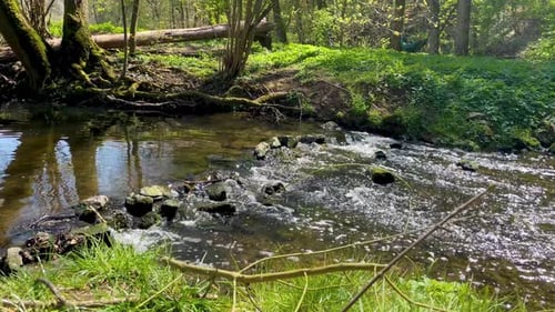 Creek flowing continuously through stunning park on sunny summer day.