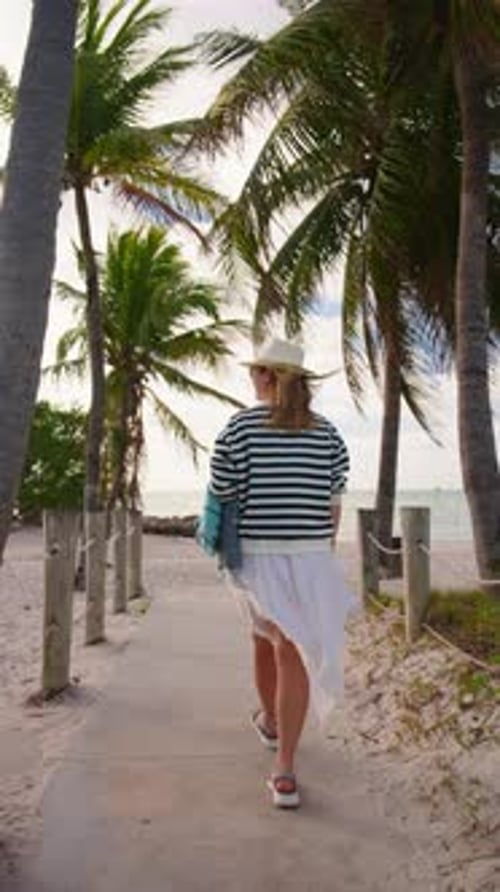 Enjoying a Relaxing Beach Walk Beneath Beautiful Palm Trees Along the Shoreline