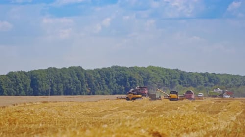 Agricultural machinery for harvesting grain in action. Harvesting season