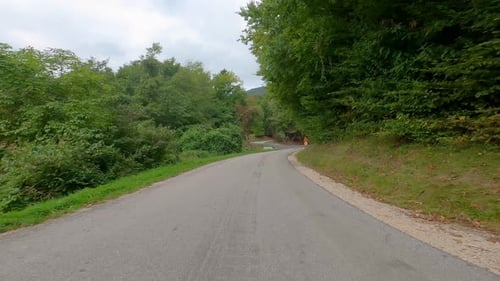 Driving On Forest Road On A Sunny Day