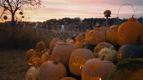 Halloween Pumpkins Glowing at Picturesque Sunset Gathering