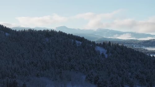 Mount Evans Blue Sky Evergreen Meadows Conifer Colorado aerial drone Colorado sunset golden hour up