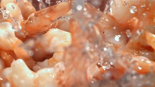 Shrimp Splashes Fall Into the Water Filmed on a Highspeed Camera at 1000 Fps