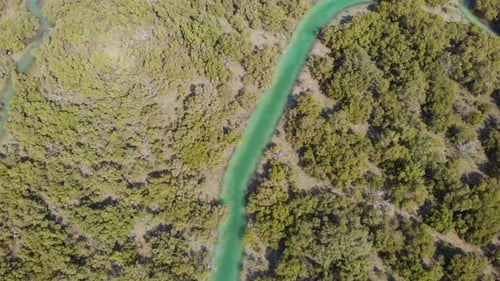 Pássaros aéreos olham sobre manguezais, revelando a paisagem urbana de Al Reem