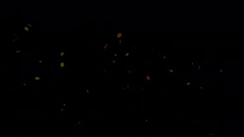 Blowing Leaves. Autumn Leaves with Alpha Channel. Transparent Background.