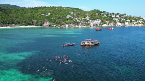 Aerial view of people snorkelling in shark bay on Ko Tao island, Thailand.