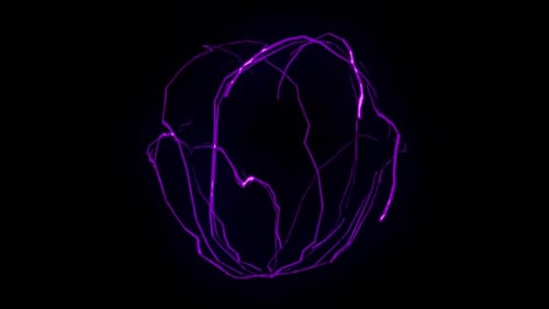 Fluid Animated Line Stroke Reveals Abstract Content