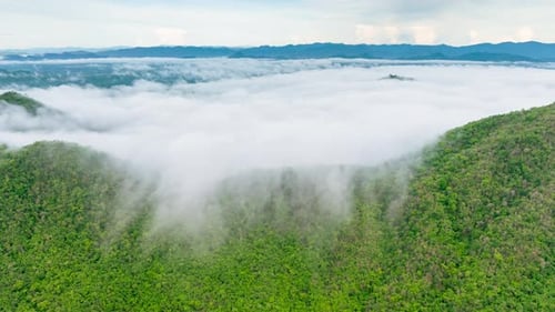 4K Hyperlapse of Morning Fog over Mountain Forest in Nong Ya Plong, Thailand