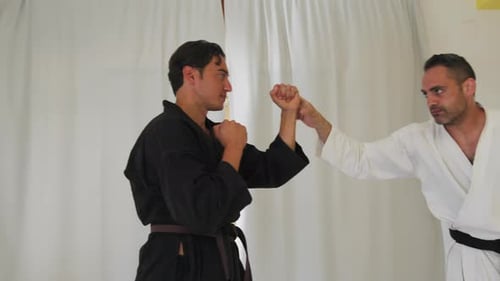 Adults Practice Karate in Brightly Lit Indoor Setting