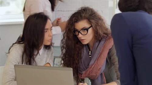 Creative Team of Four Women Work Actively at the Office