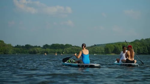 Athletic People Practicing Standup Paddle Boarding In River In Summertime People Floating On Boards