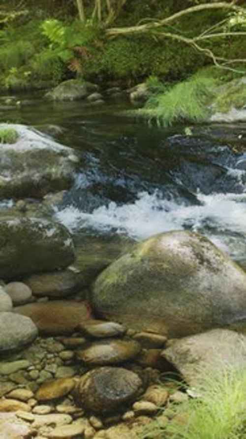 Pure, sparkling, bubbling and cascading water of nearby stream close up.
