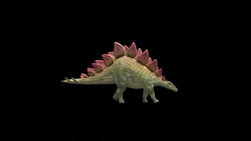 Dinosaur Stegosaurus Walk Loop