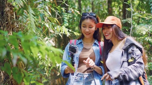Dois jovens vloggers mochileiros asiáticos se divertem viajando juntos pela floresta.