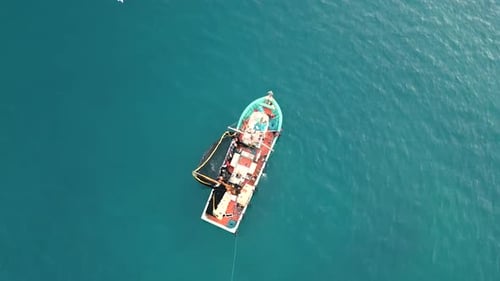 A bustling fishing trawler hoisting a brimming net of fish amidst a backdrop of seagulls soaring acr